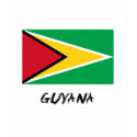 Guyana Flag t-shirts