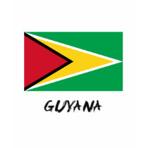 Guyana Flag t-shirts by flagshirt Guyana Flag t-shirts