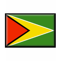Guyana Flag t-shirts by jacinto888 Guyana Flag t-shirts