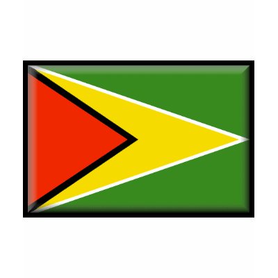 Guyana Flag T Shirt by jacinto888