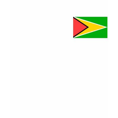 Guyana Flag Tshirts by CulturalPerspective3