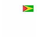 Guyana Flag t-shirts