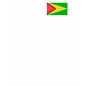 Guyana Flag t-shirts