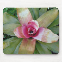 Guzmania Linguata Minor mousepads by _Prki_ Guzmania Linguata Minor mousepads