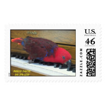 GVP_2095-01, Puglisi Digital315 378-2239 postage