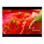 Gwen Photographs - Plant louse Family postcards