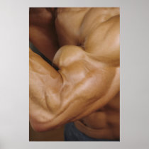 Gym Wall Poster - Color 2
