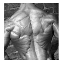 Gym Wall Poster One posters by Photos_By_JAE Gym Wall Poster One posters