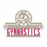 Gymnastics embroidered shirts