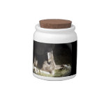 Gypsian Filly Candy Jars