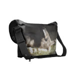 Gypsian Filly Courier Bags