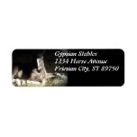 Gypsian Filly Custom Return Address Labels