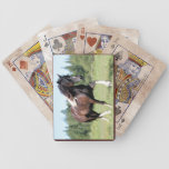Gypsian Filly Deck Of Cards