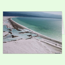 Gypsum and field of salt cards