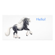 Gypsy Cob Horse Photo Card photo cards by twopurringcats Gypsy Cob Horse Photo Card photo cards