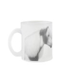 Gypsy Cob Vanner Frosted Mug