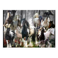 Gypsy Horse Gifts Postcard