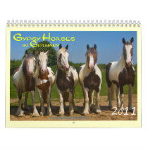Gypsy Horses in Germany 2011 Calendars
