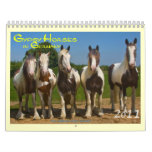 Gypsy Horses in Germany 2011 Calendars