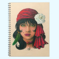 Gypsy II notebooks