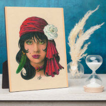 Gypsy II plaques