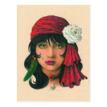 Gypsy II Postcards
