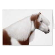 Gypsy Paint Horse Greeting Card