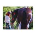 Gypsy postcards by PoshPonies Gypsy postcards