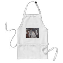 Gypsy Run Aprons