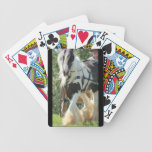 Gypsy Vanner Card Deck