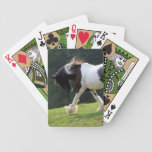 Gypsy Vanner Deck Of Cards