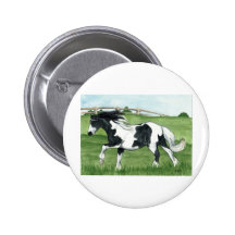 Gypsy Vanner Galloping