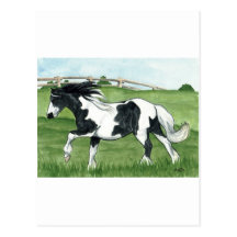 Gypsy Vanner Galloping Postcards