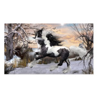 Gypsy Vanner Horse Business Cards