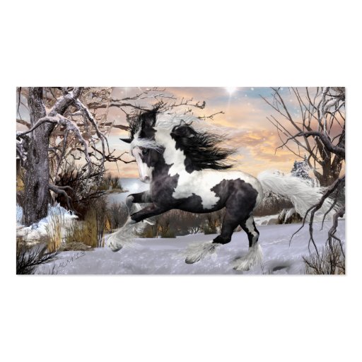 Gypsy Vanner Horse Business Cards (front side)