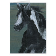 Gypsy Vanner Horse Card