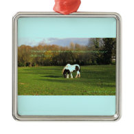 Gypsy Vanner Horse Gifts Christmas Tree Ornaments
