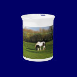 Gypsy Vanner Horse Gifts pitchers