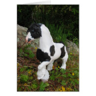 Gypsy Vanner Horse Greeting Cards