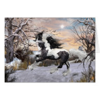 Gypsy Vanner Horse Holiday Card
