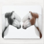 Gypsy Vanner Horse Love