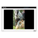 Gypsy Vanner Laptop Decals