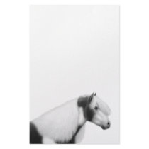 Gypsy Vanner Paint Horse Stationery