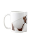 Gypsy Vanner Paint Horses Mug Gypsy Vanner Paint Horses Mug