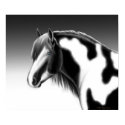 Gypsy Vanner Pinto Draft Horse Poster posters by twopurringcats Gypsy Vanner Pinto Draft Horse Poster posters