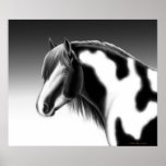 Gypsy Vanner Pinto Draft Horse Poster