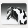 Gypsy Vanner Pinto Horse ...