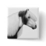 Gypsy Vanner Pinto Horse Pin