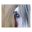 Gypsy Vision Poster/ Print