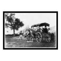 Gypsy Women in a Wagon in Turkey 1895 posters